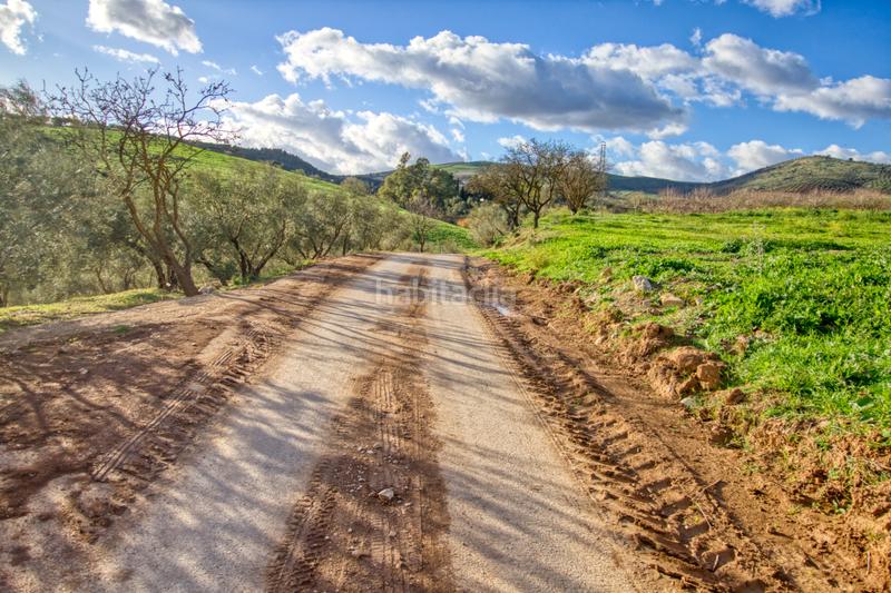 Foto 3f311346-139a-4372-8b2e-8ed7c7b30c06. Terreno residenziale in Ardales