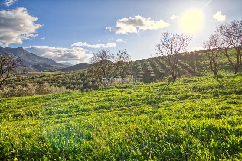 Foto 46635ac8-c9e4-4275-a443-7c368fc6a506. Terreno residenziale in Ardales