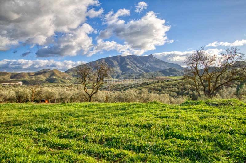 Foto 5b129ca4-d6b2-42db-84ab-2cc7390dcc92. Terreno residenziale in Ardales