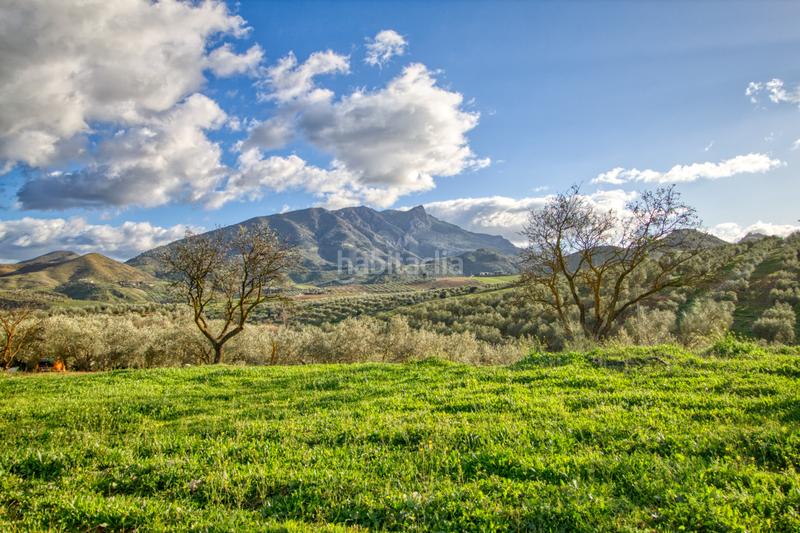 Foto 622694e2-01a1-4cbd-abb3-192b94dbab00. Terreno residenziale in Ardales