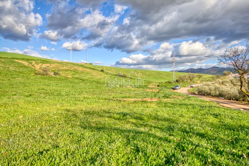 Foto 6c003288-3705-4365-9642-d7108b5aac32. Terreno residenziale in Ardales
