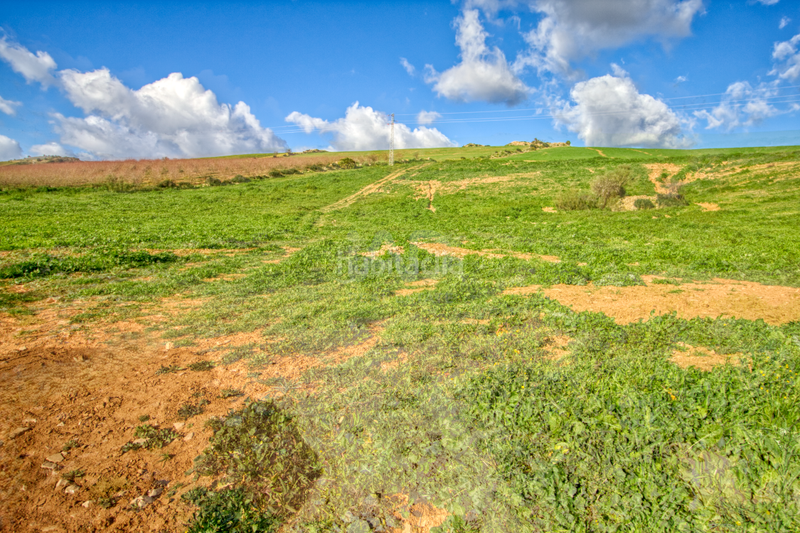 Foto 6e70dad3-c91c-4dda-be5a-d92e3c36e35b. Terreno residenziale in Ardales