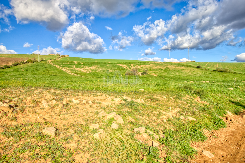 Foto 6f8ec7ff-cfa7-4392-bf53-feac8e3c91d3. Terreno residenziale in Ardales