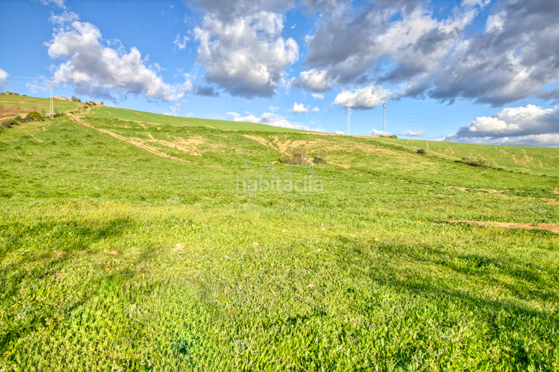 Foto 8c8e3f72-41be-4ef8-9330-3372f884dc78. Terreno residenziale in Ardales