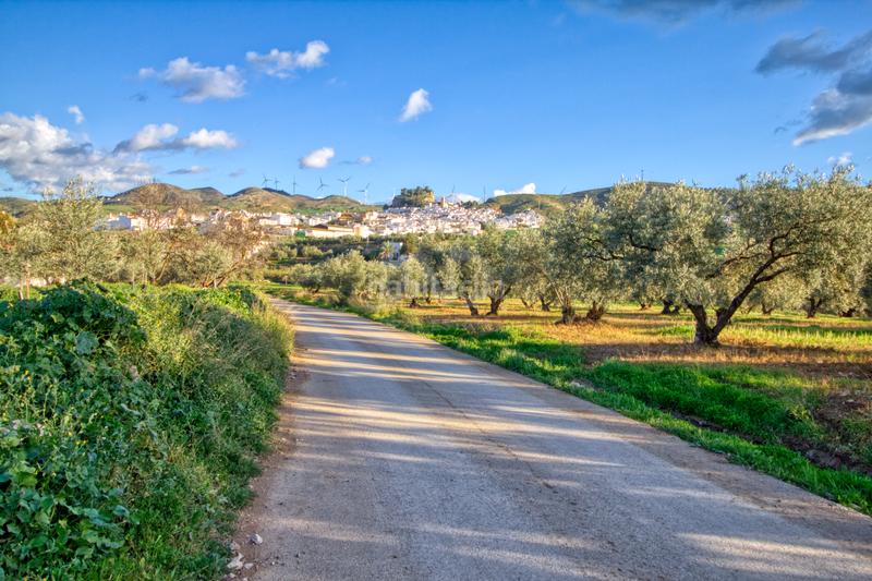 Foto ae40b970-265b-436c-a149-f22f950b9dd1. Terreno residenziale in Ardales