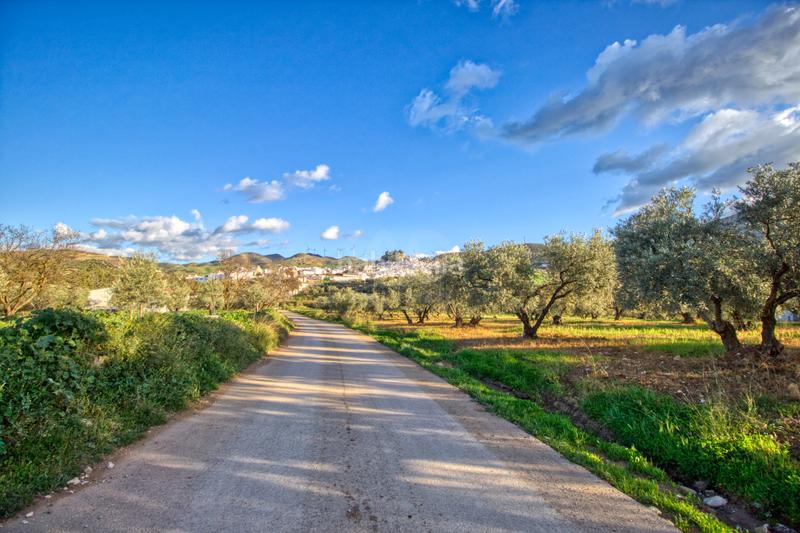 Foto bd8581b2-16fa-4470-bdfb-1ff1b9a307dd. Terreno residenziale in Ardales