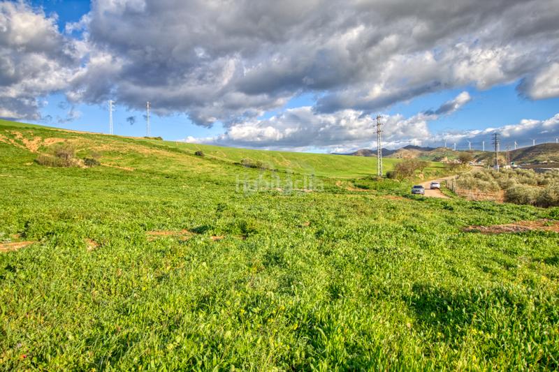 Foto f5379d76-704e-425e-b0a4-7d357680862d. Terreno residenziale in Ardales