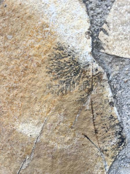 Foto faf7f160-f967-4b97-9c7d-399fc0d1d202. Casa en Casco Urbano Vinaròs