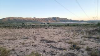Residential Plot in Salinas