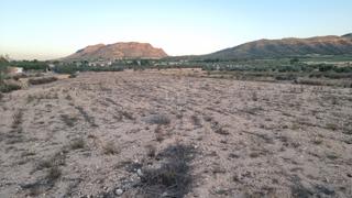 Residential Plot in Salinas