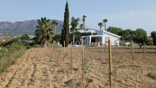 Masia a Villafranco del Guadalhorce