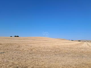 Terreno residencial en Arcos de la Frontera