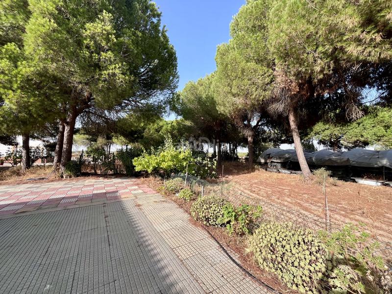 Foto 41d3a569-8f29-47c4-a530-f13b7482757d. Casa amb aparcament a Cartaya