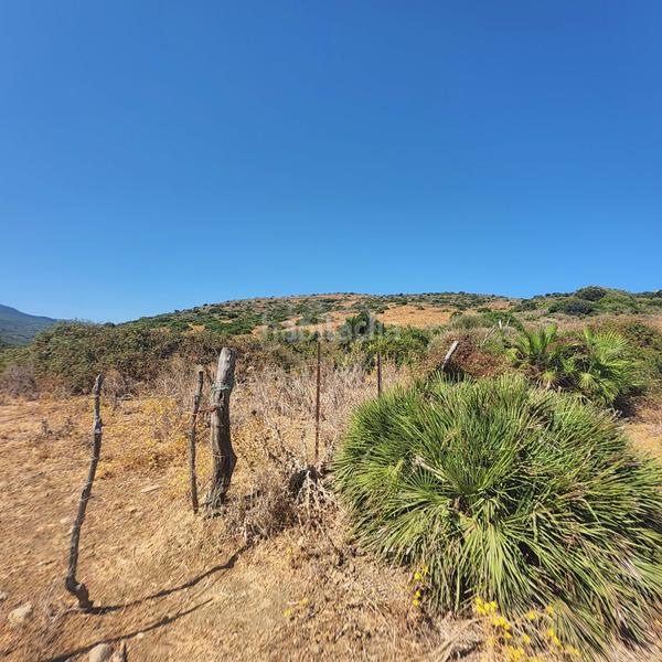 Foto 1908293a-4ea9-4b43-a02d-af16e463c315. Landgut in San García Algeciras