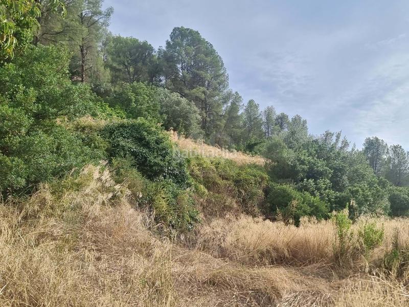 Foto 1ceacbe1-0977-4f58-aec1-12cb99b71739. Rural plot in Benifallet