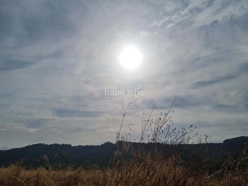 Foto 1ed79175-a717-43d4-a4c5-293c79c3e3bf. Rural plot in Benifallet