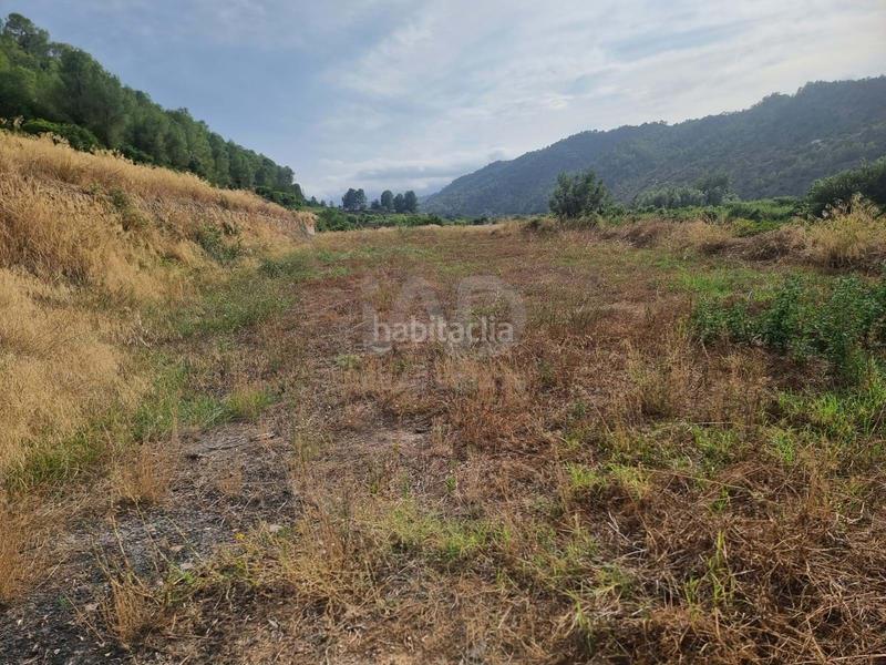 Foto 9766d94d-2109-4067-b32b-de0b574f4982. Rural plot in Benifallet
