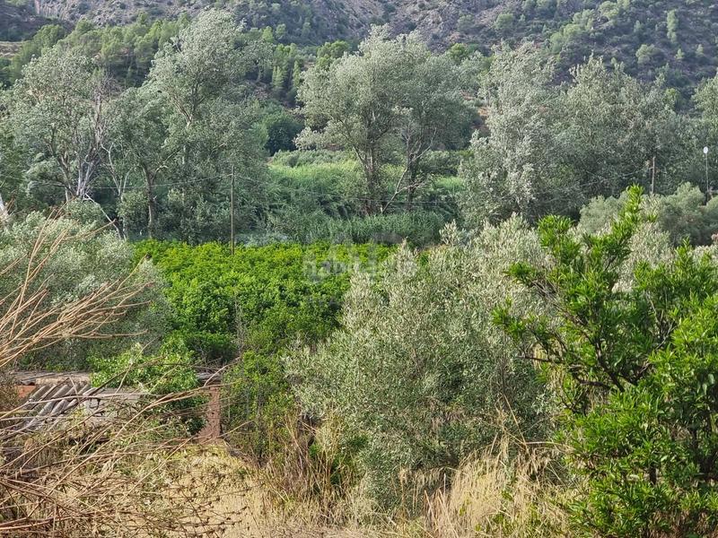 Foto e364c3ac-b44d-4259-998f-b66866a02b10. Rural plot in Benifallet