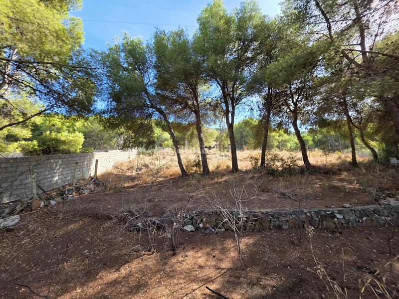 Foto 56cccdc5-c50e-46ed-b4fc-ddaaca09d4a7. Terreny residencial a Pinos de Alhaurín Alhaurín de la Torre