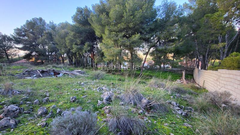Foto c6a25e8b-dda6-4fd5-bfac-d39ae64d1017. Terreny residencial a Pinos de Alhaurín Alhaurín de la Torre
