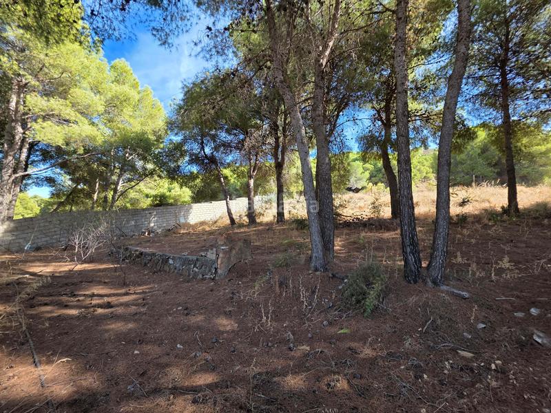 Foto 913ae2b6-b0fb-4e4a-9192-dbc48b110415. Terreno residenziale in Pinos de Alhaurín Alhaurín de la Torre