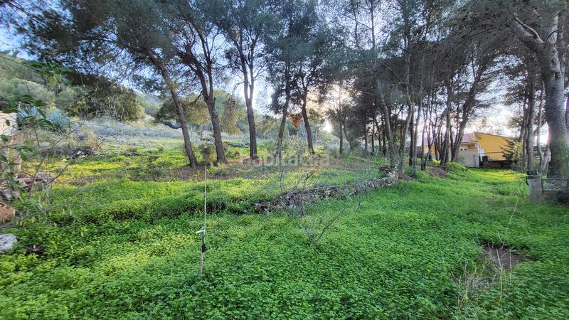 Foto ab43db1e-23b3-49bb-9bf2-bbdfd9460801. Terreno residenziale in Pinos de Alhaurín Alhaurín de la Torre