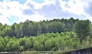 Terrain résidentiel à Urbanización partida la rota pol. 9 parcela 173 173 173