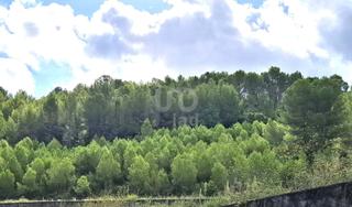 Terrain résidentiel à Urbanización partida la rota pol. 9 parcela 173 173 173