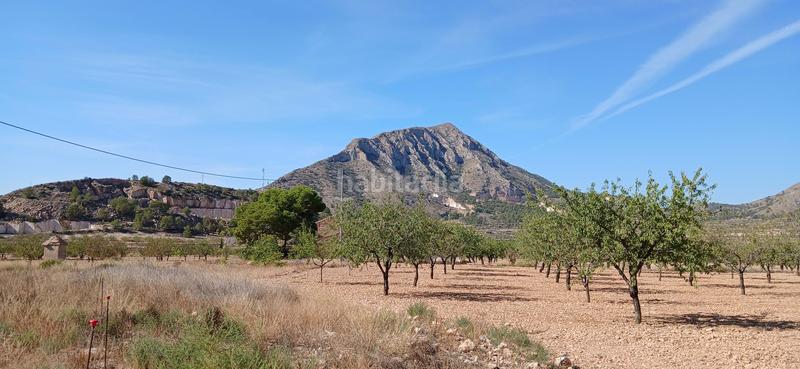 Foto 428bf5ca-a8de-4097-babb-dc30ec9ab569. Casa amb calefacció a La Murada - Los Vicentes Orihuela