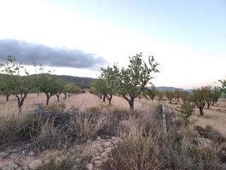 Residential Plot in Salinas