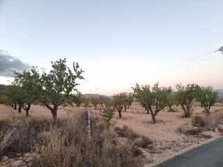 Residential Plot in Salinas