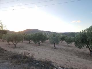 Terreny residencial a Salinas