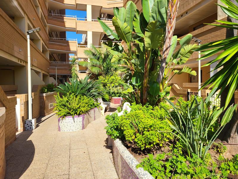 Foto 35e0ff49-9aee-4f20-bead-5aadd678632e. Pis a avenida central 38 a Costa Caribe Oropesa del Mar