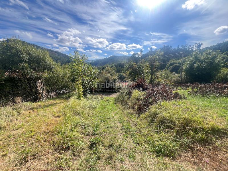 Foto 5f588af7-7a10-40f2-bce1-d0487e5457f5. Terreno residencial en Pillarno Castrillón