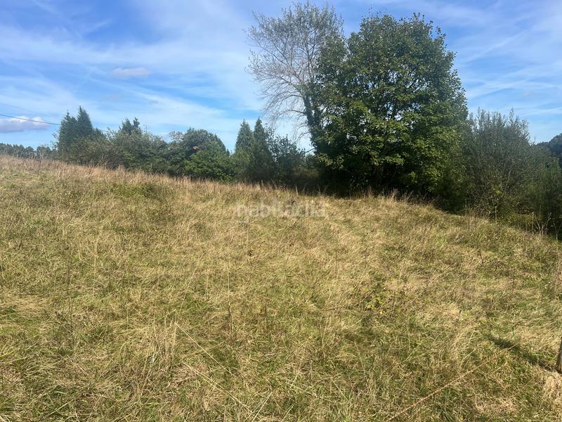 Foto 7ccbe69e-c691-4fe2-b12a-99034dc600a3. Terreno residencial en Pillarno Castrillón