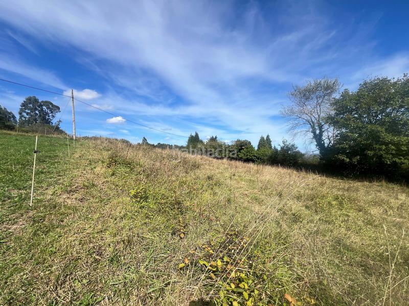 Foto f5a6073e-f552-4faf-b207-3495d8661fb6. Terreno residencial en Pillarno Castrillón