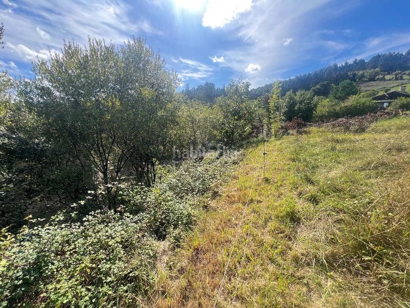 Foto 1fdbba59-2c00-463a-9a46-dbd4b0216078. Terreno residenziale in Pillarno Castrillón