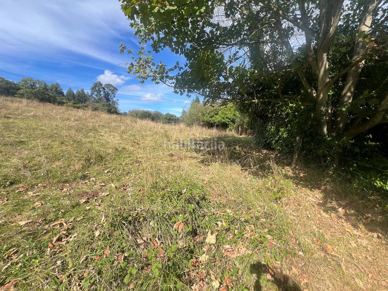 Foto ab44713d-428b-484d-9bca-6e8a09c06806. Terreno residenziale in Pillarno Castrillón