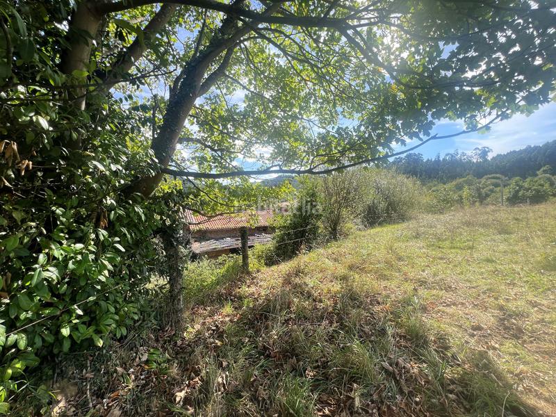 Foto f1474f34-604d-42c7-9b31-f9798184be23. Wohngrundstück in Pillarno Castrillón