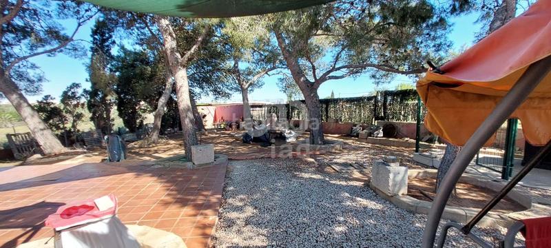 Foto 2c019791-9a17-415a-af45-ac6902b9323f. Country house with heating parking in El Altet Elche / Elx