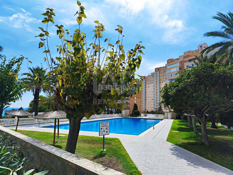 Foto 06e4b4db-8231-4e39-aab2-79a38a7fad43. Rent flat with parking pool in Playa Muchavista Campello (el)