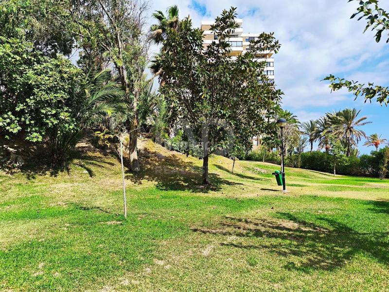 Foto 25c796a4-36e3-4537-9658-49d52ceb3ee4. Rent flat with parking pool in Playa Muchavista Campello (el)