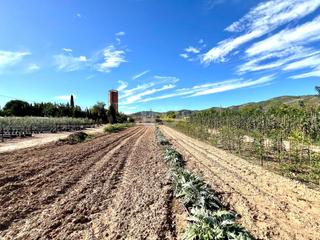 Terreno residencial en Calle carrer d`hernan cortes 55 55
