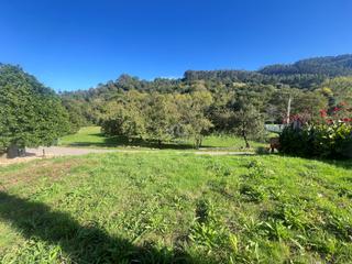 Terreno residencial en Pillarno