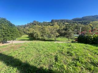 Terreno residenziale in Pillarno