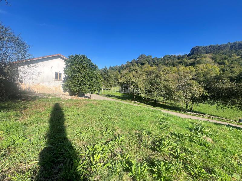 Foto ef2ccf66-6a28-422a-b0bd-e1773d940b63. Terreno residenziale in Pillarno Castrillón