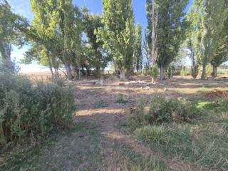 Rural plot in Alba de Tormes
