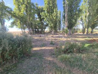 Finca rústica a Alba de Tormes