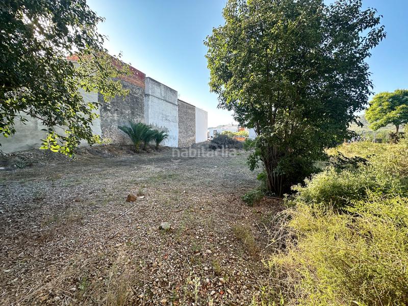 Foto 05827ce7-07f1-4df3-86ea-6cba480c9204. Wohngrundstück in Pego