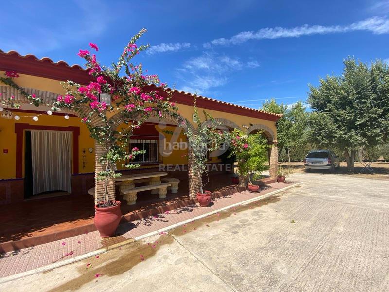 Foto 11bbe1ec-6b23-4d95-aea3-c51931d0b2c8. Finca rústica a Lora del Río